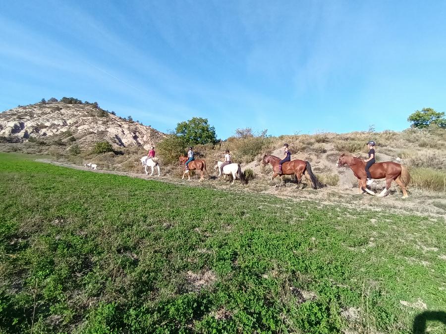 Sjour questre Hautes-Alpes PNR des Baronnies Provenales photo 6