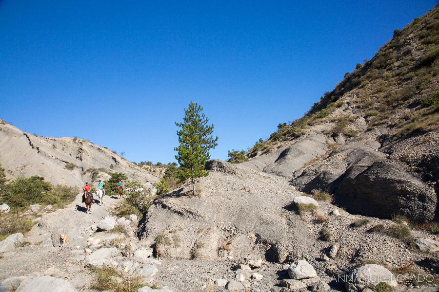 Sjour questre Hautes-Alpes PNR des Baronnies Provenales photo 4