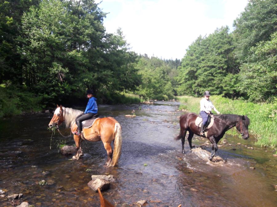 Balade  cheval Haute-Loire  photo 5