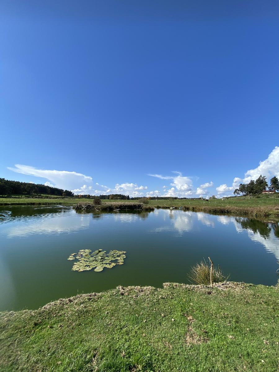 Sjour questre Haute-Loire  photo 3