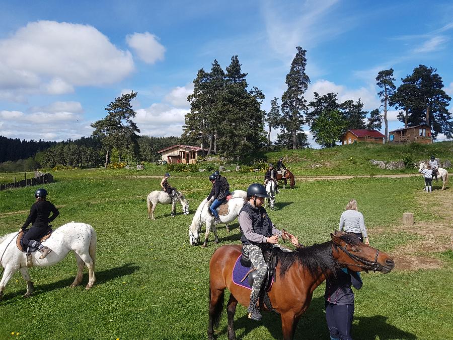 Balade  cheval Haute-Loire  photo 5