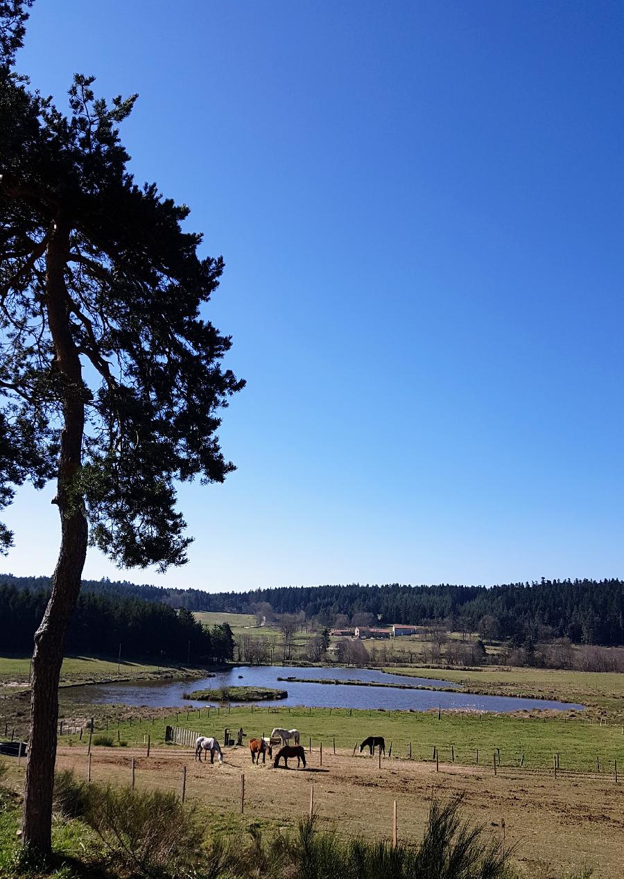 sejour Haute-Loire  photo 2