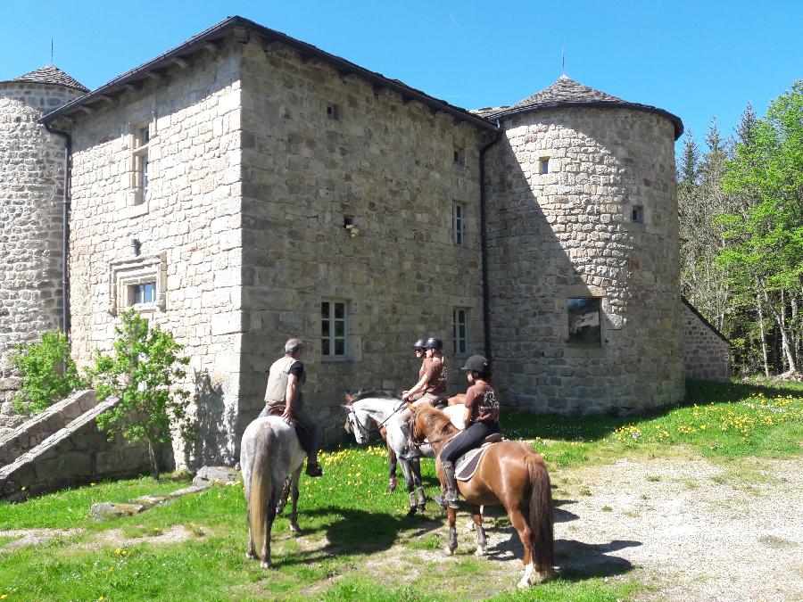 S�jour �questre   photo 5