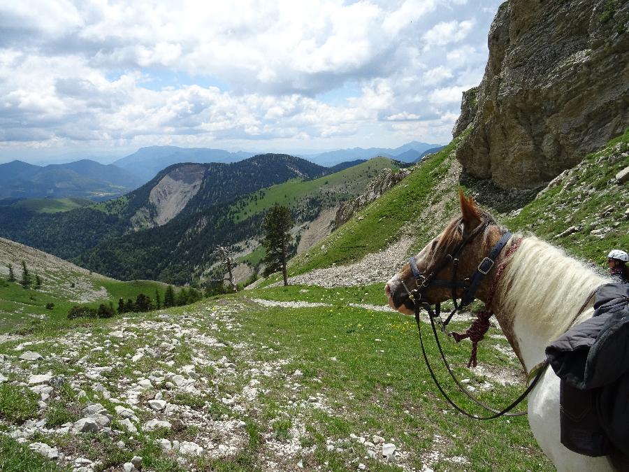 Randonne questre Hautes-Alpes Pays du Buch