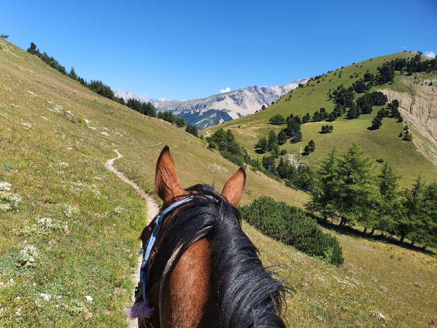 Randonne questre Hautes-Alpes Pays du Buch