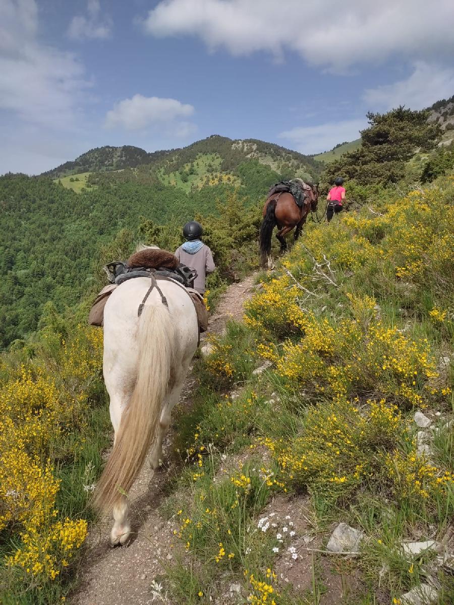 Randonne questre Hautes-Alpes Pays du Buch photo 2