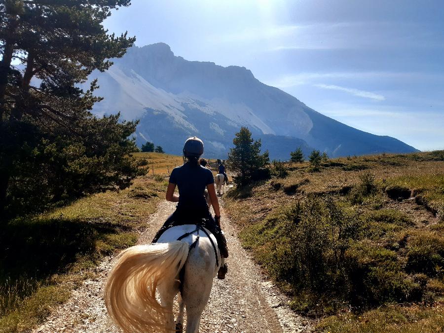 Sjour questre Hautes-Alpes Pays du Buch photo 5