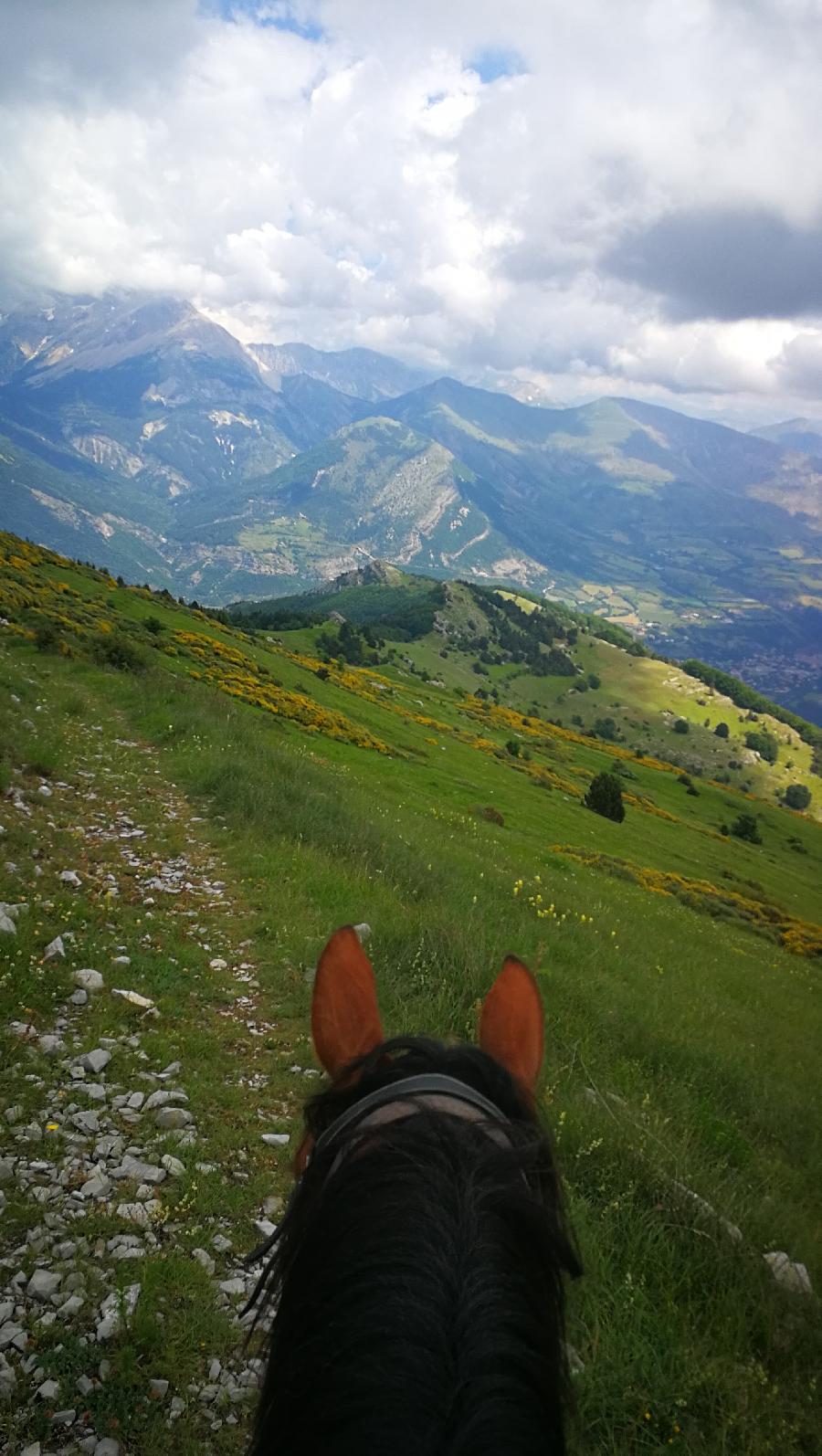 Randonne questre Hautes-Alpes Pays du Buch photo 2