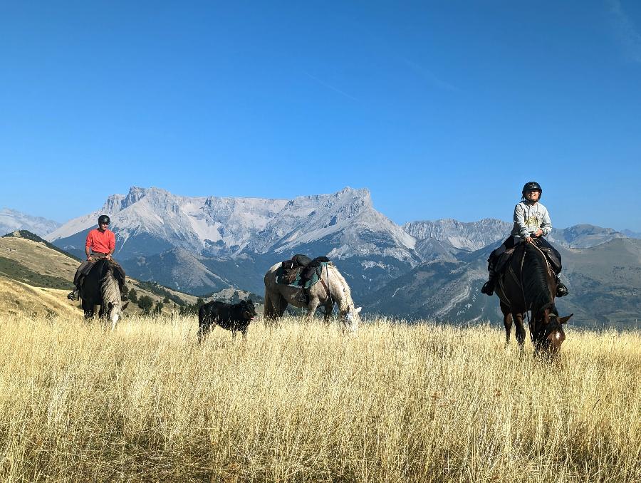 Randonne questre Hautes-Alpes Pays du Buch photo 5