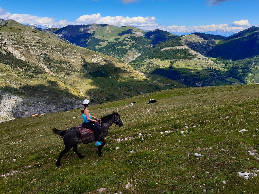 Randonne questre Hautes-Alpes Pays du Buch