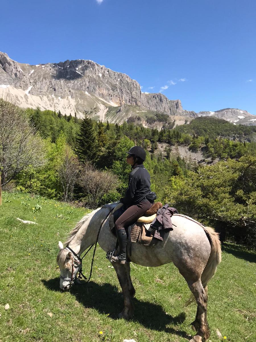 Balade  cheval Hautes-Alpes Pays du Buch photo 2
