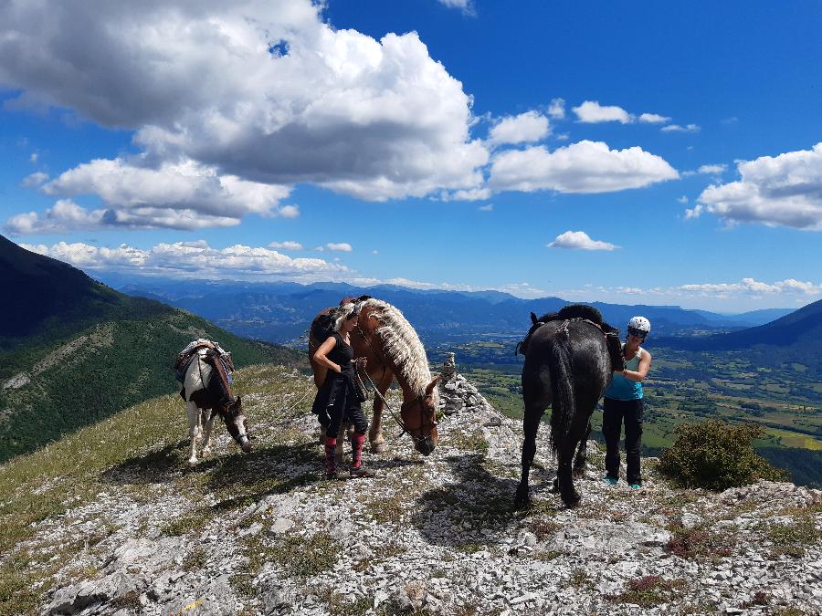 Balade  cheval Hautes-Alpes Pays du Buch photo 5