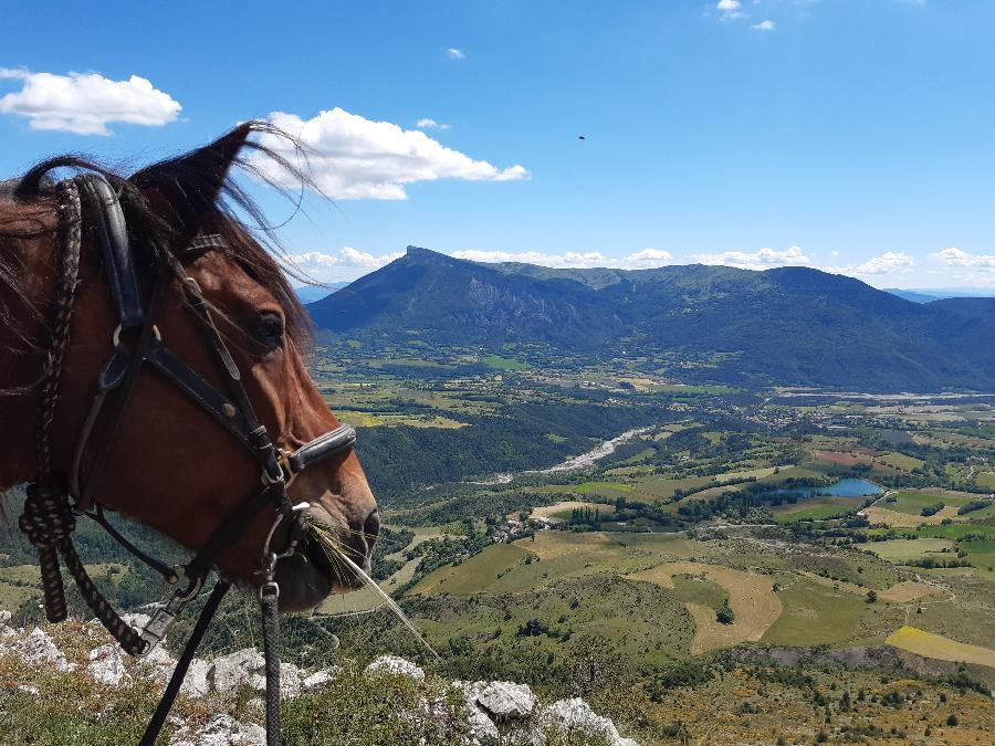 Balade  cheval Hautes-Alpes Pays du Buch photo 6