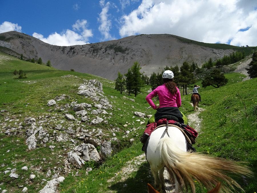 Randonne questre Hautes-Alpes Pays du Buch