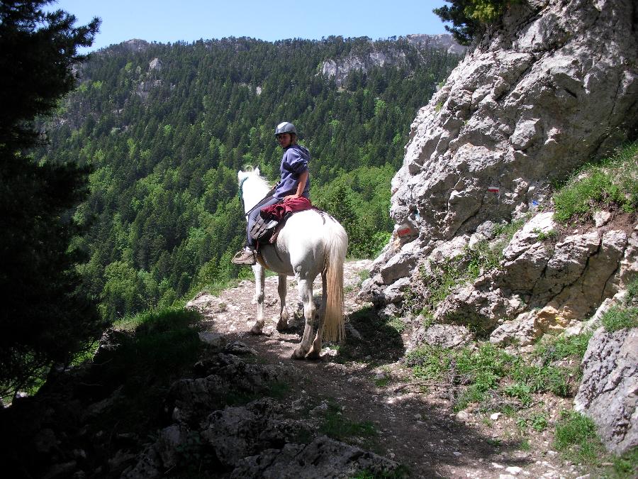 Randonne questre Hautes-Alpes Pays du Buch photo 3