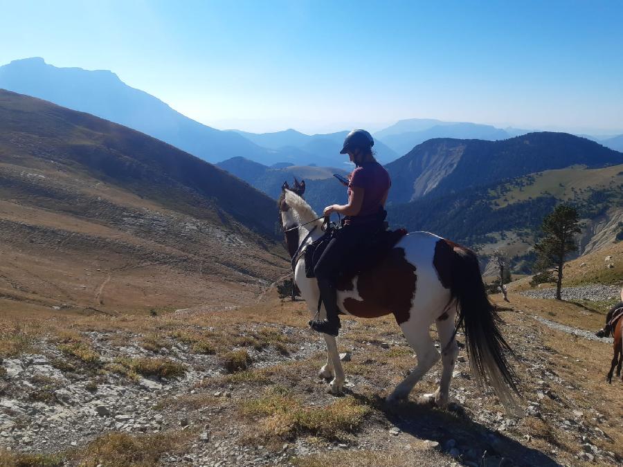 Randonne questre Hautes-Alpes Pays du Buch photo 4