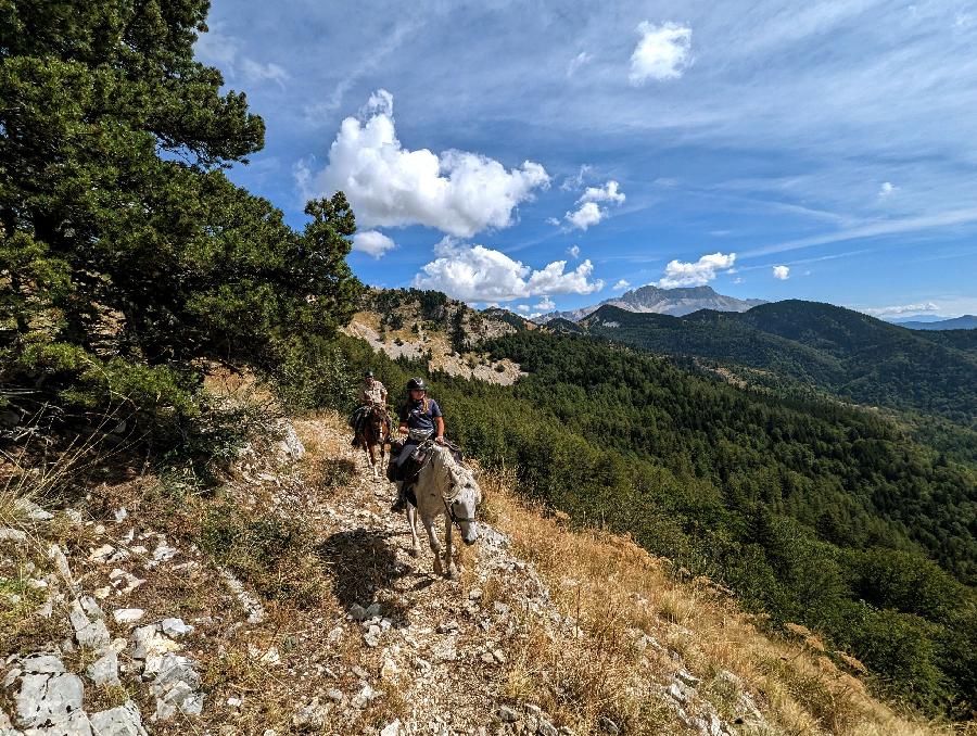 Randonne questre Hautes-Alpes Pays du Buch photo 5