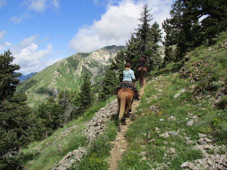 Randonne questre Hautes-Alpes Pays du Buch photo 6