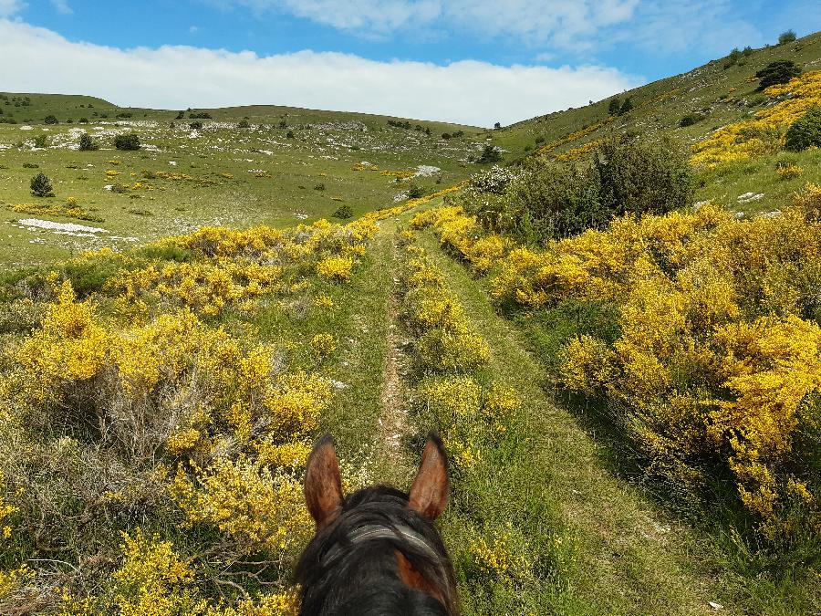 Sjour questre Hautes-Alpes Pays du Buch photo 3