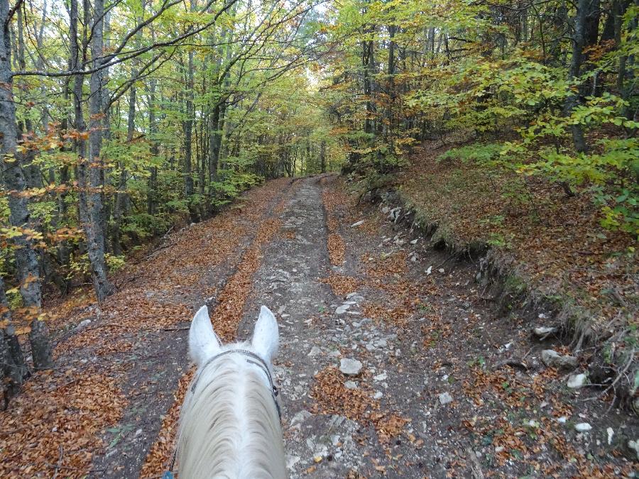 Sjour questre Hautes-Alpes Pays du Buch photo 6