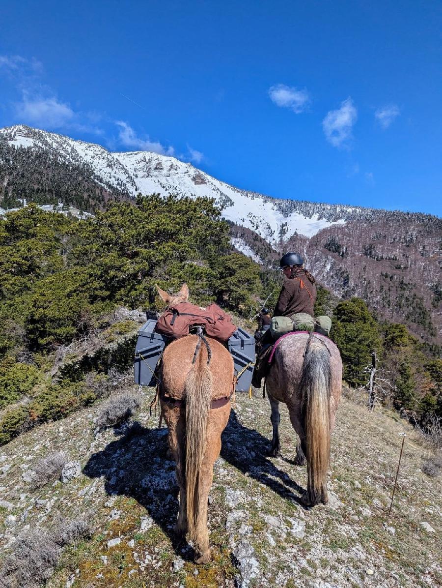 Sjour questre   photo 2