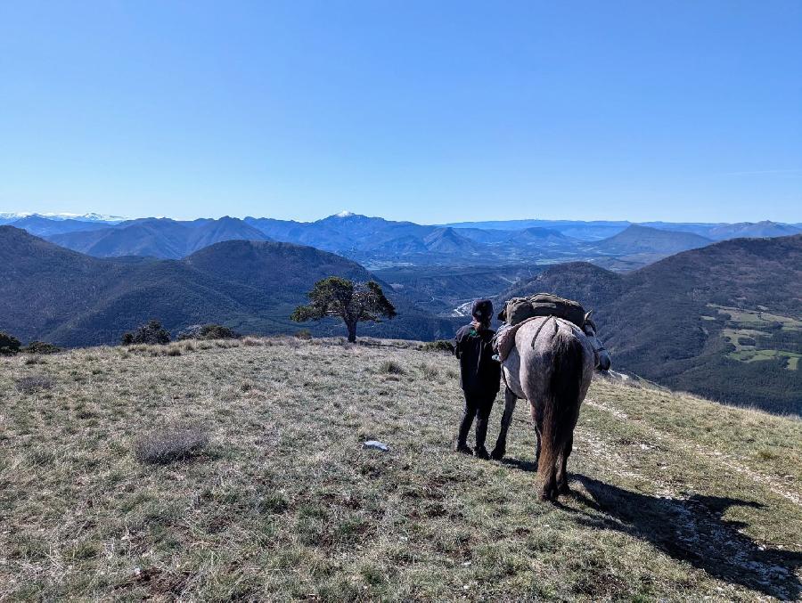 Sjour questre   photo 3