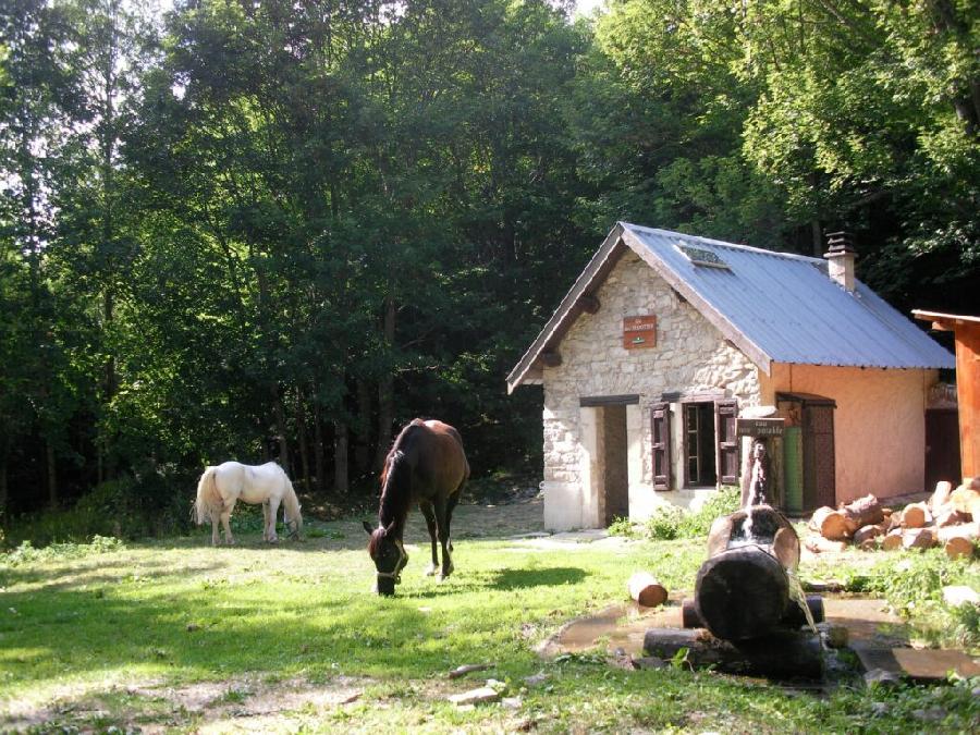 Sjour questre   photo 4