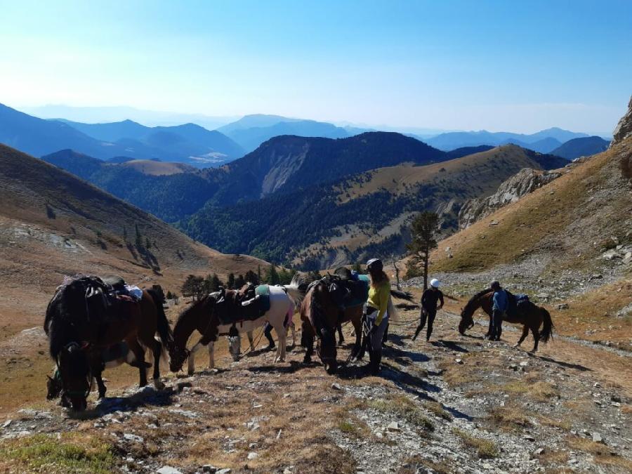 Sjour questre   photo 5