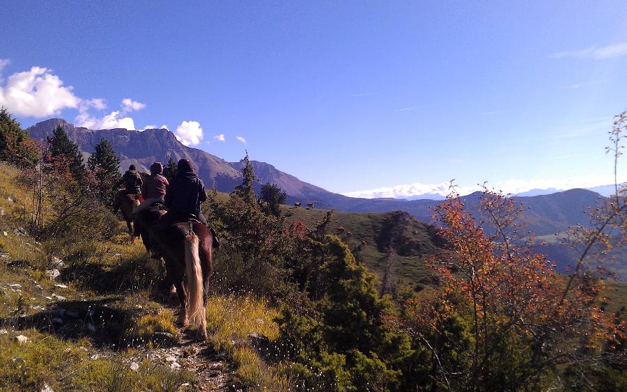 Sjour questre Hautes-Alpes Pays du Buch