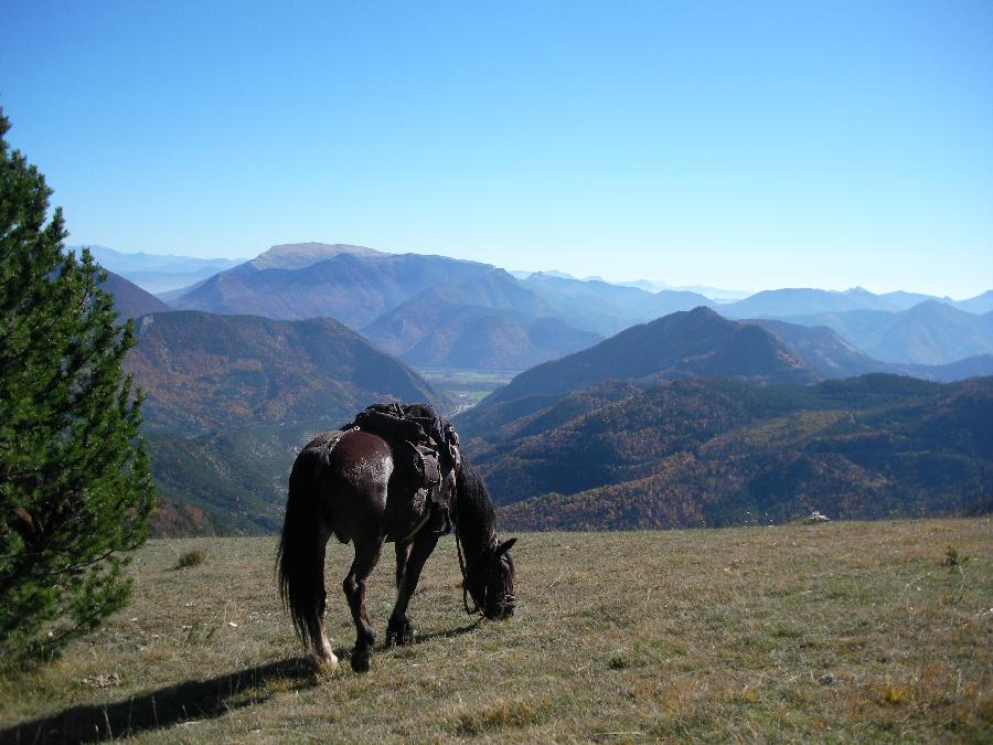 Sjour questre Hautes-Alpes Pays du Buch photo 3
