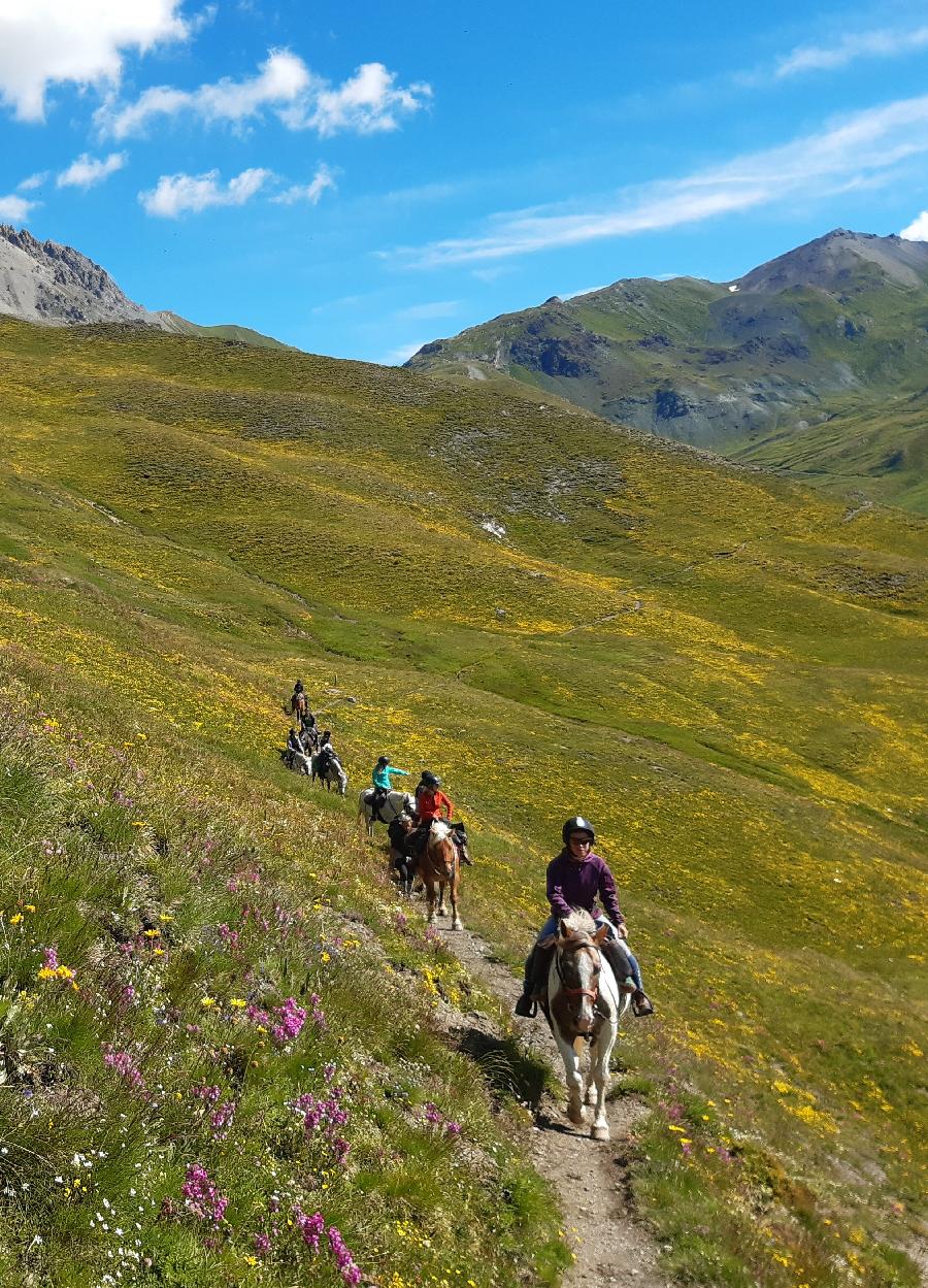 Sjour questre Hautes-Alpes Pays du Buch photo 2