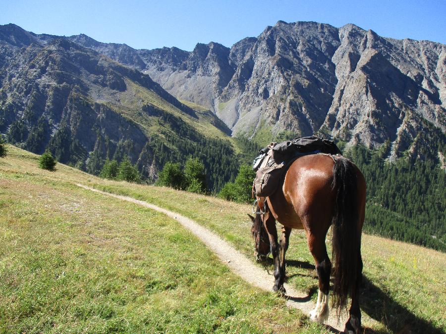 Sjour questre Hautes-Alpes Pays du Buch photo 5