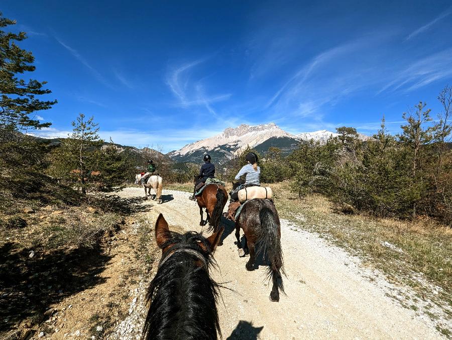 Randonne questre Hautes-Alpes Pays du Buch photo 2