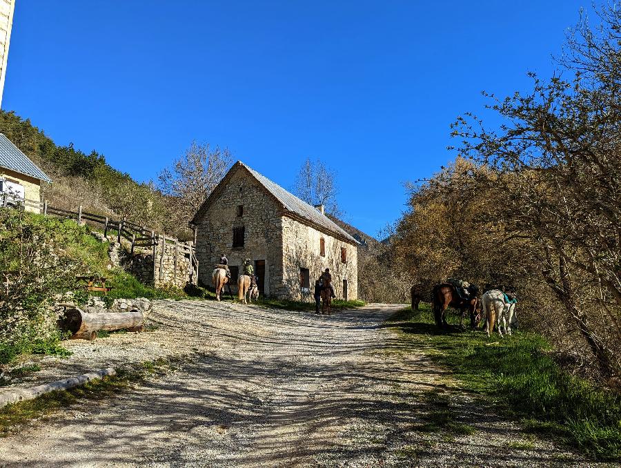 Randonne questre Hautes-Alpes Pays du Buch photo 3