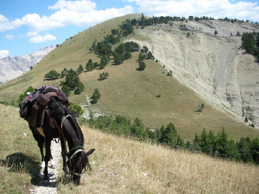 Randonne questre Hautes-Alpes Pays du Buch photo 5