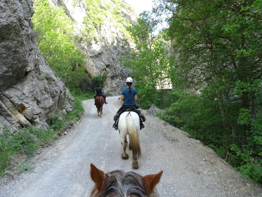 rando Randonne questre Hautes-Alpes