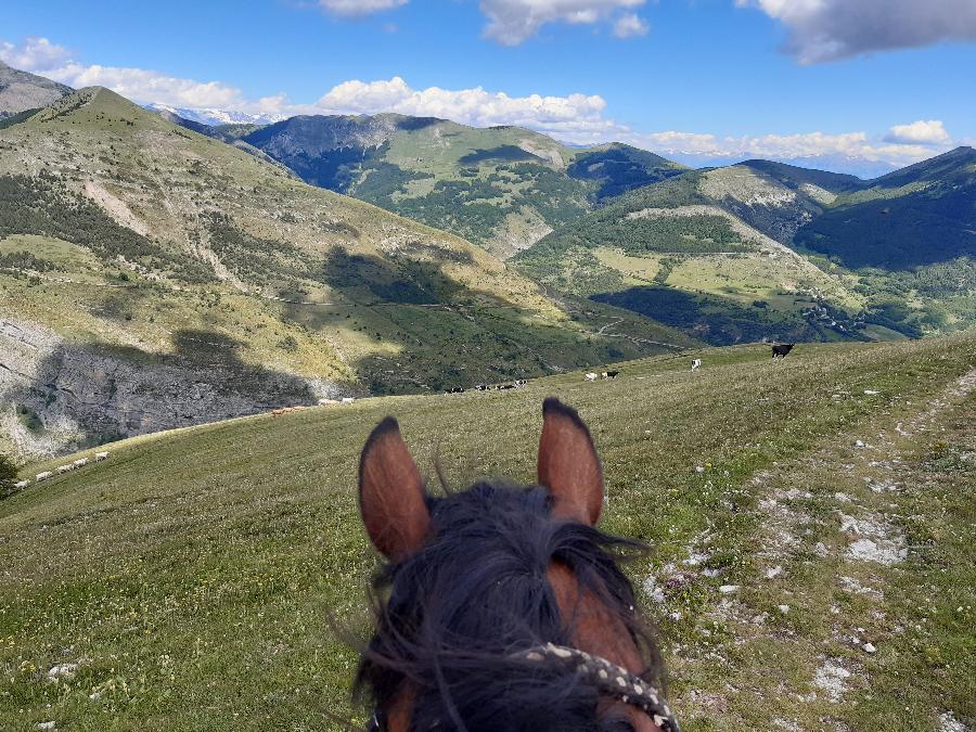 Randonne questre Hautes-Alpes Pays du Buch