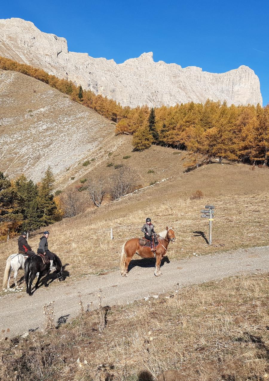 Sjour questre Hautes-Alpes Pays du Buch photo 2