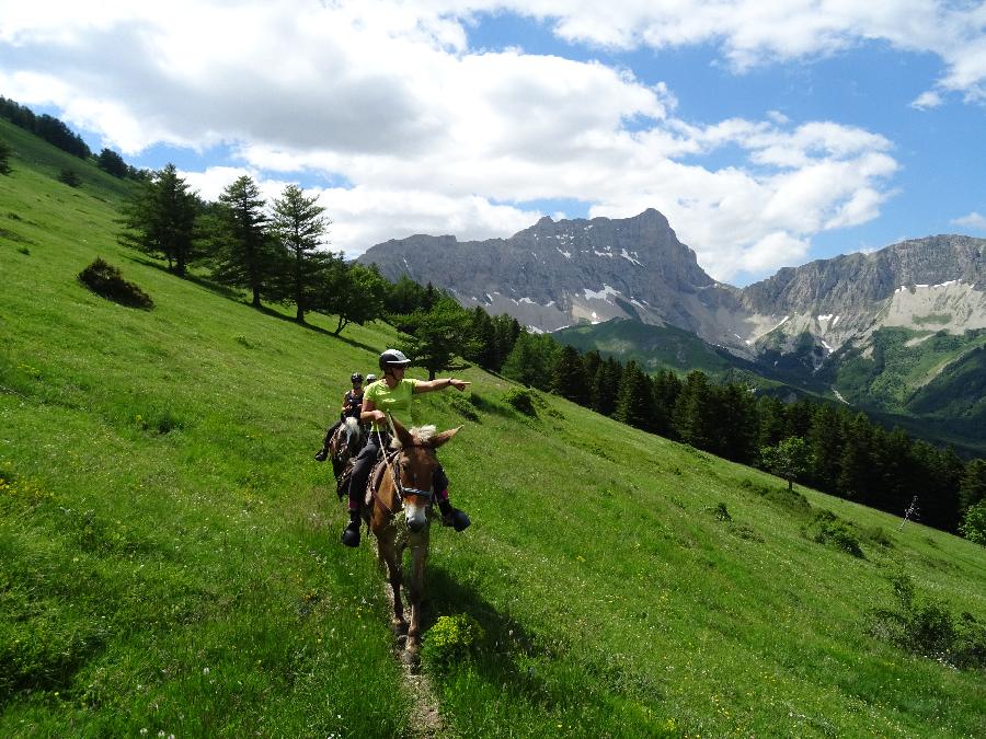 sejour Hautes-Alpes Pays du Buch photo 6