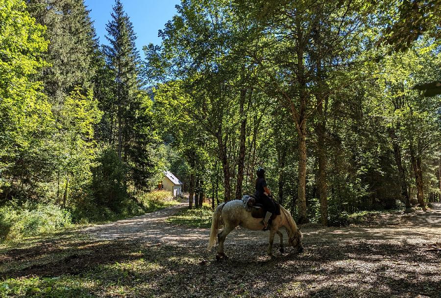 Sjour questre Hautes-Alpes Pays du Buch photo 3