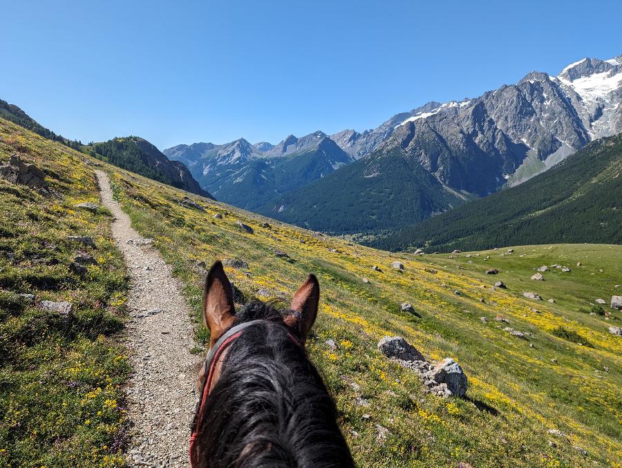 Randonne questre Hautes-Alpes Pays du Buch photo 3