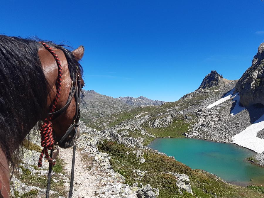 sejour Hautes-Alpes Pays du Buch photo 4