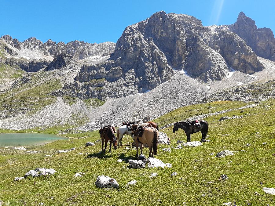 Sjour questre Hautes-Alpes Pays du Buch photo 5