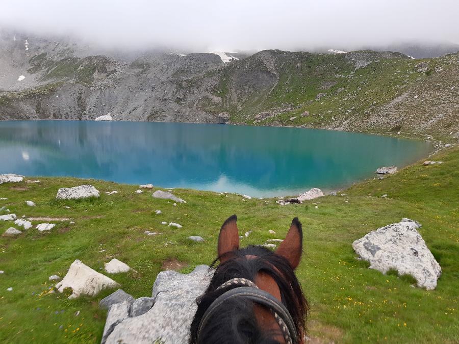 rando Randonne questre Hautes-Alpes