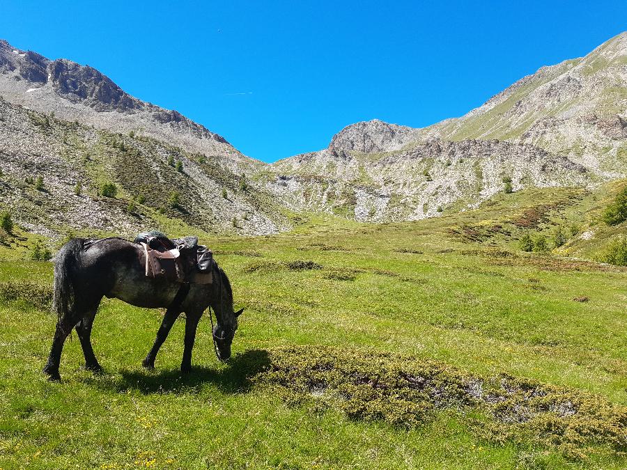 Randonne questre Hautes-Alpes Pays du Buch photo 3