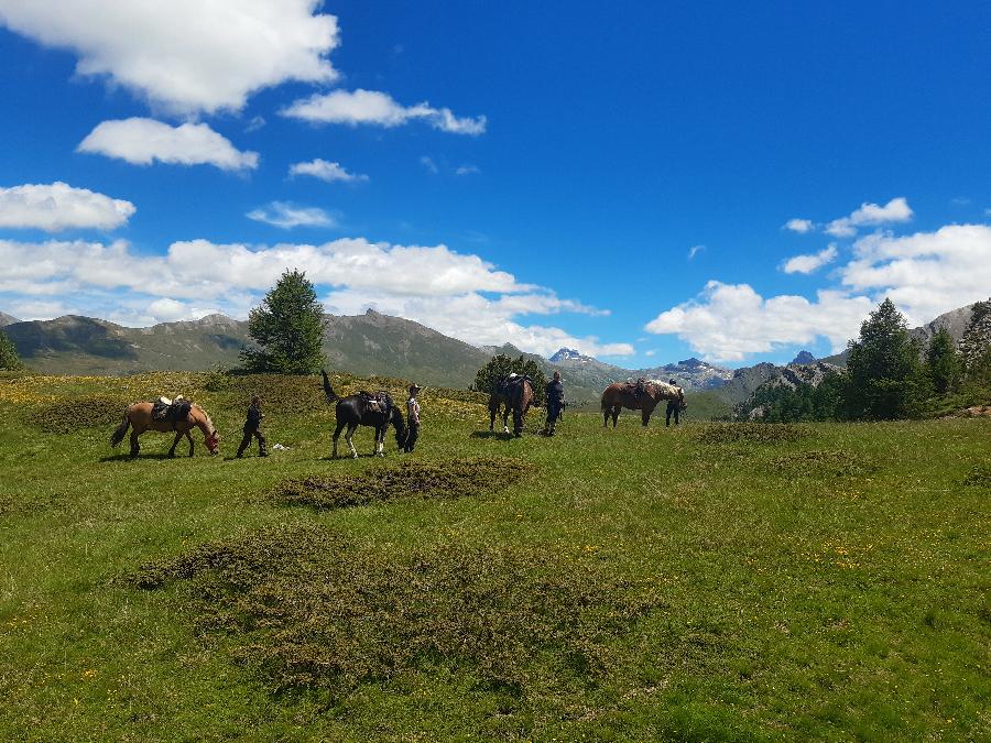 Randonne questre Hautes-Alpes Pays du Buch photo 4