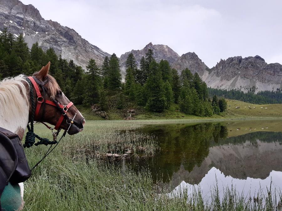 Randonne questre Hautes-Alpes Pays du Buch photo 5