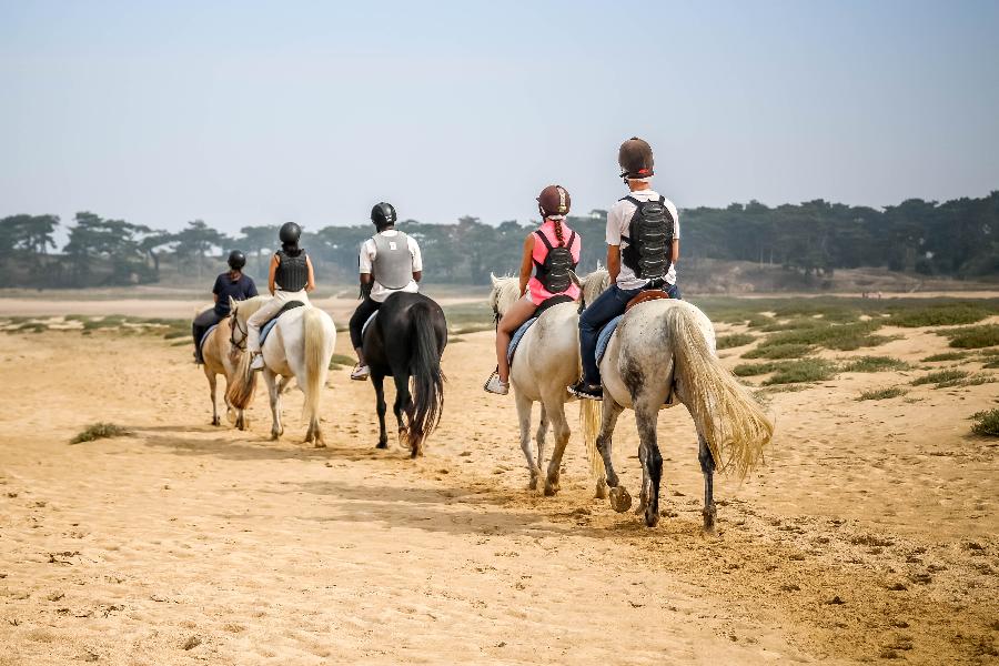 Balade  cheval Ctes-dArmor Bretagne Nord