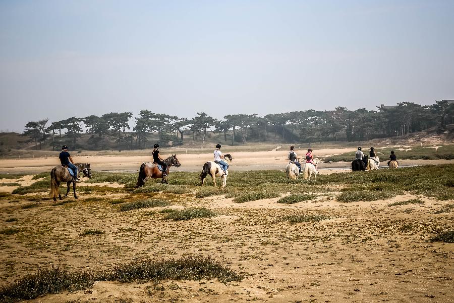 Balade  cheval Ctes-dArmor Bretagne Nord photo 2