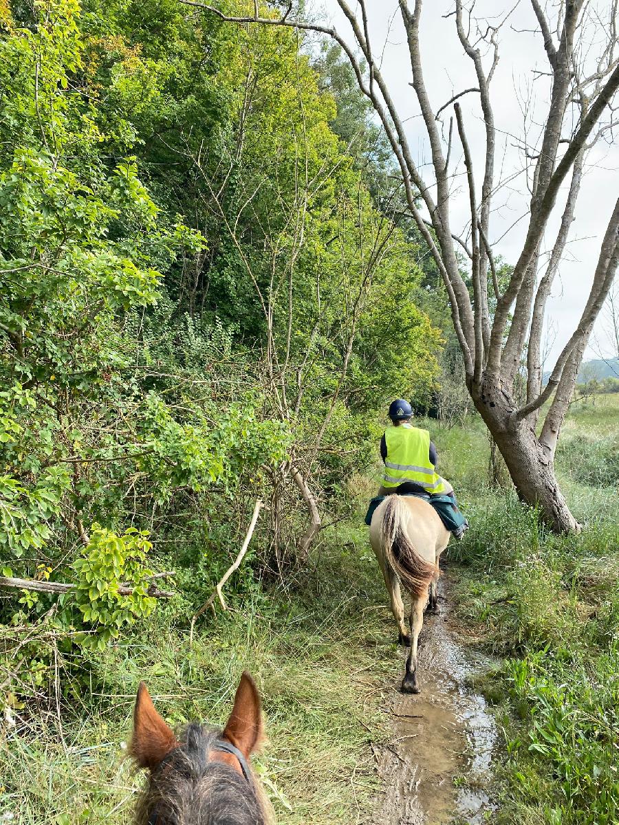 Balade  cheval Ctes-dArmor Bretagne Nord photo 3